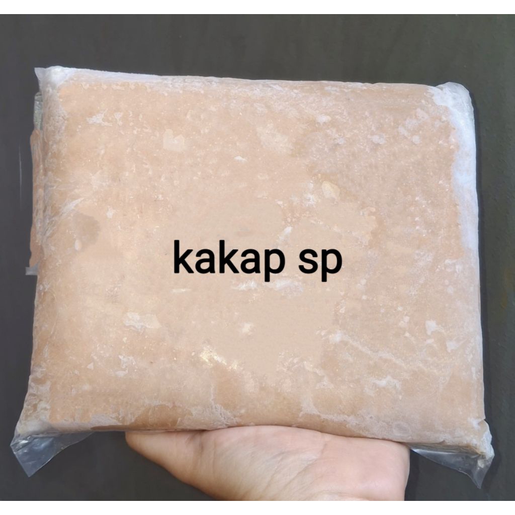 

IKAN GILING KAKAP SUPER