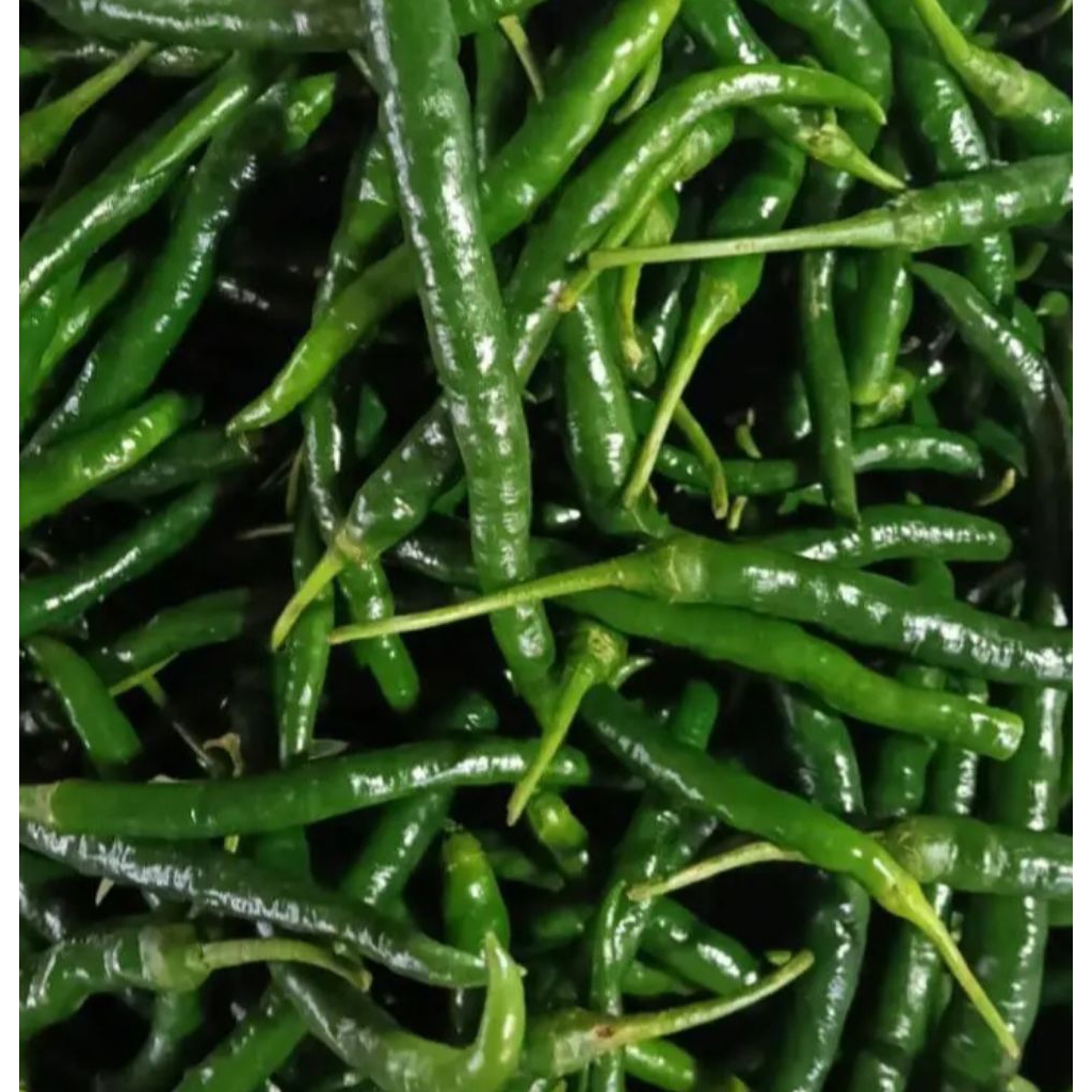 

Cabe Hijau Besar Cabai Lombok Segar Fresh Kiloan 100gr - Aneka Bumbu Dapur