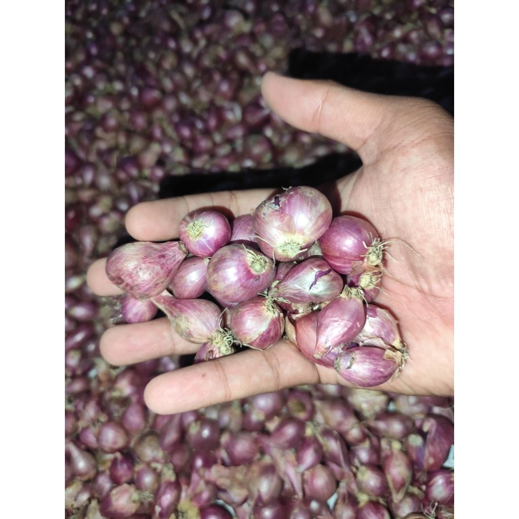 

juwal bawang merah 500g lokal nganjuk