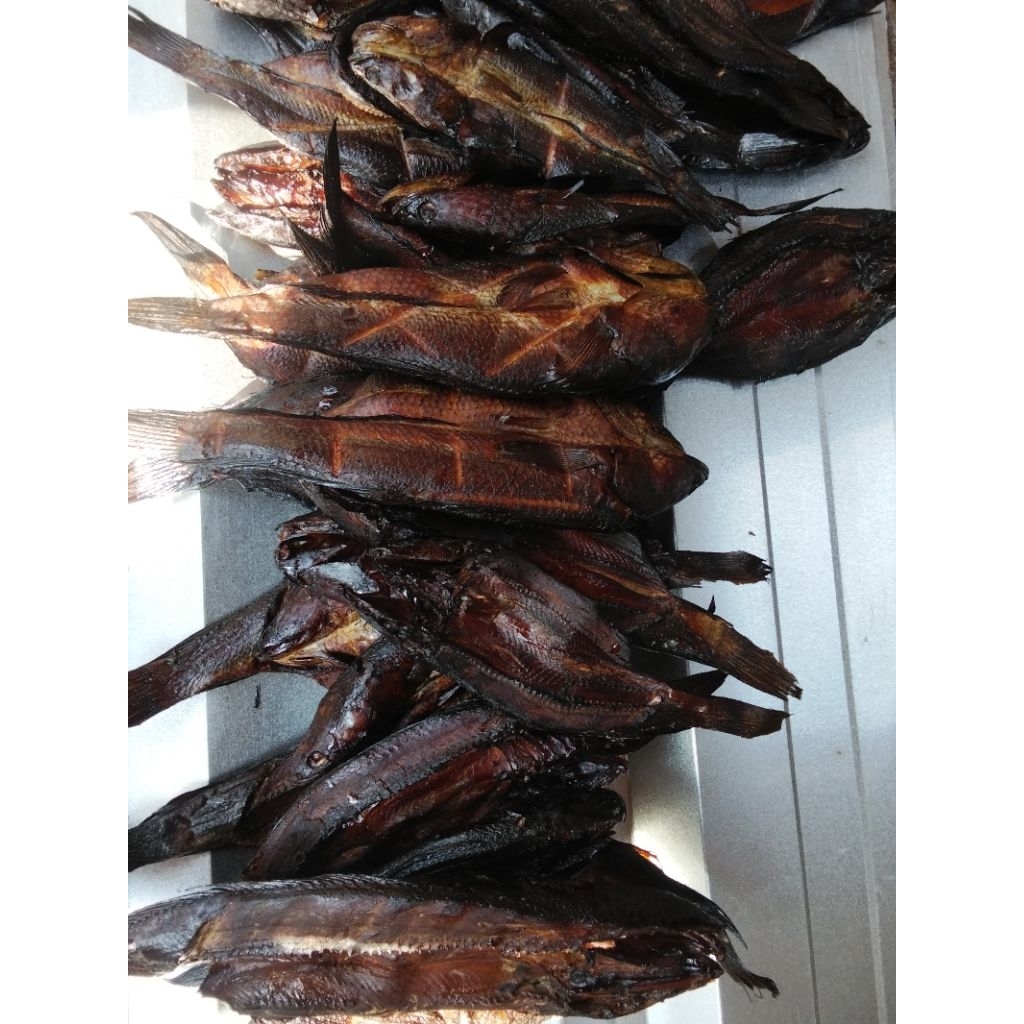

ikan asap gabus