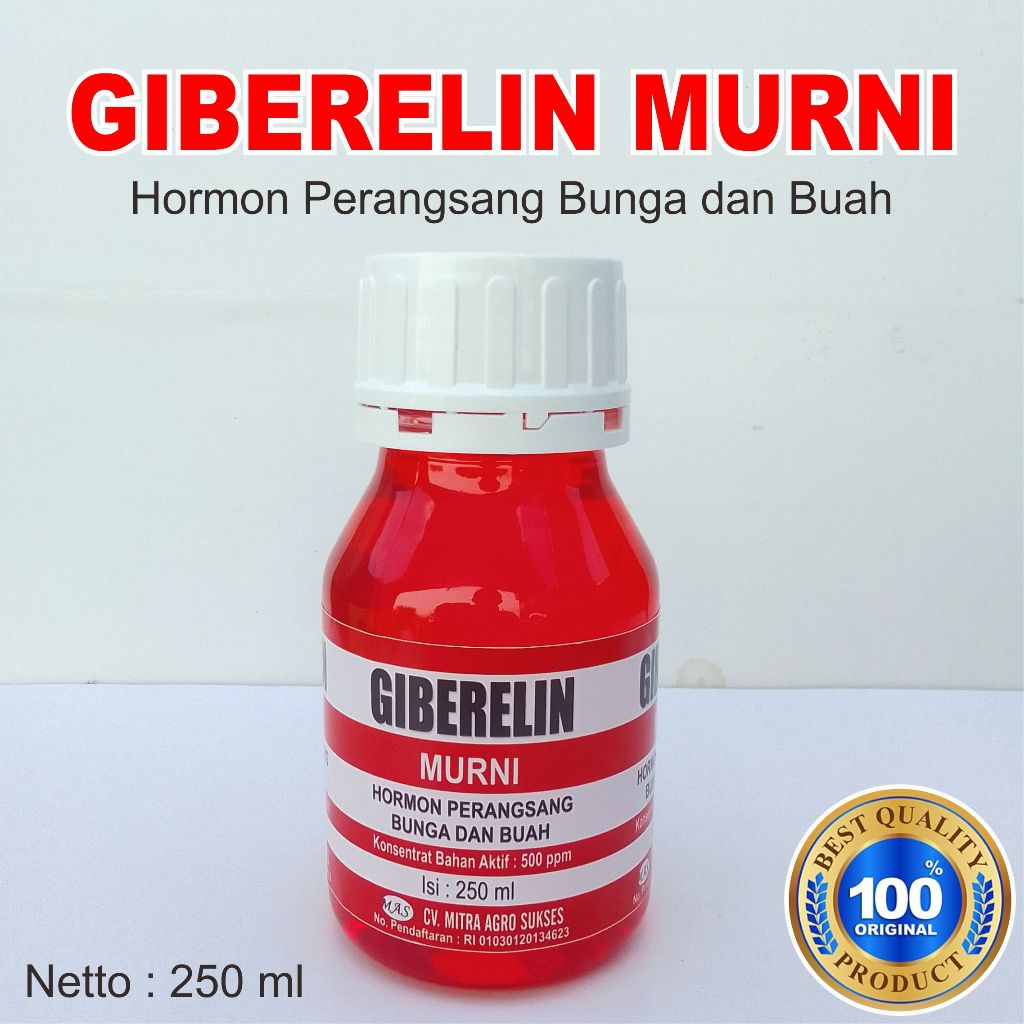 Giberelin Murni 500 ppm Zpt Perangsang Buah dan Bunga Original 250 ml
