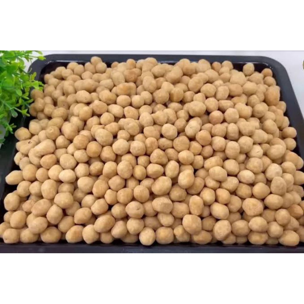 

KACANG TELOR KACANG ATOM ENAK GURIH MANIS KEMASAN 500Gram