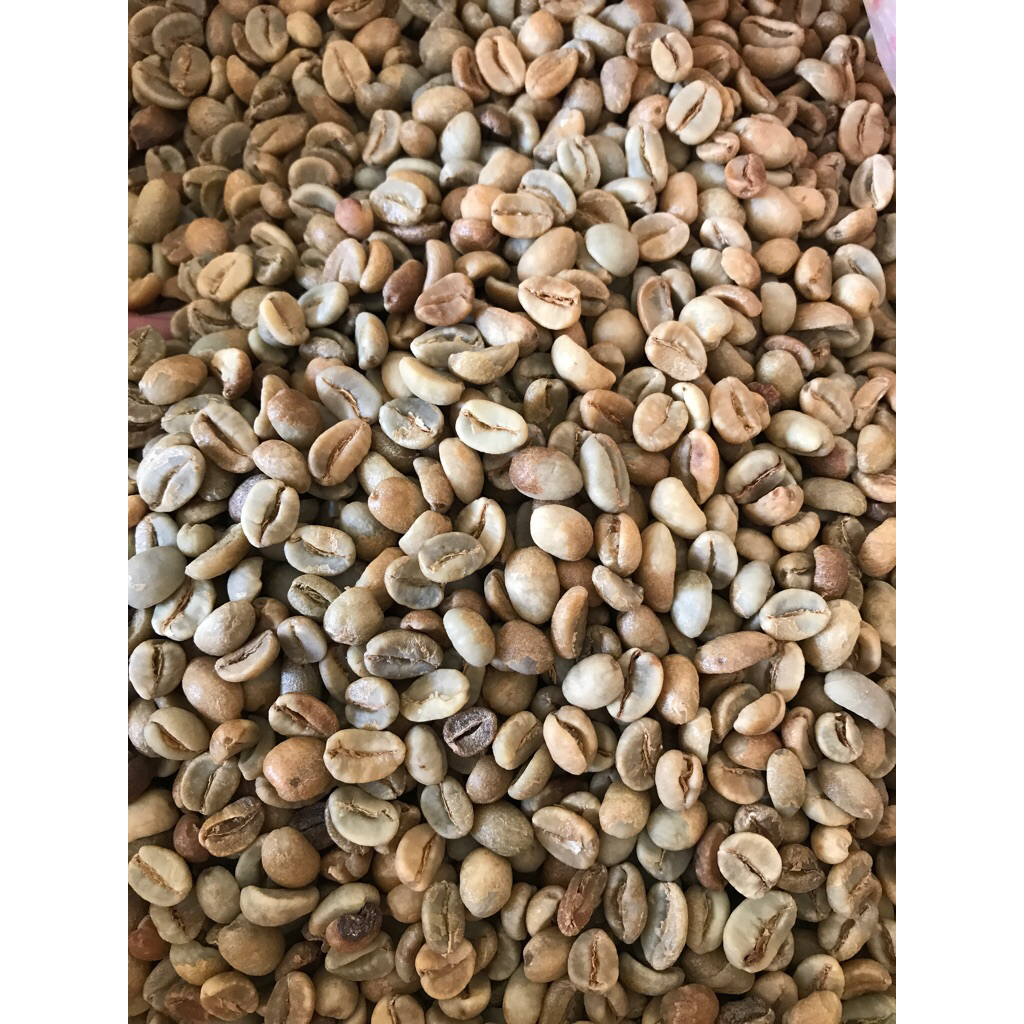 

Green Bean Arabika Gayo Natural G1