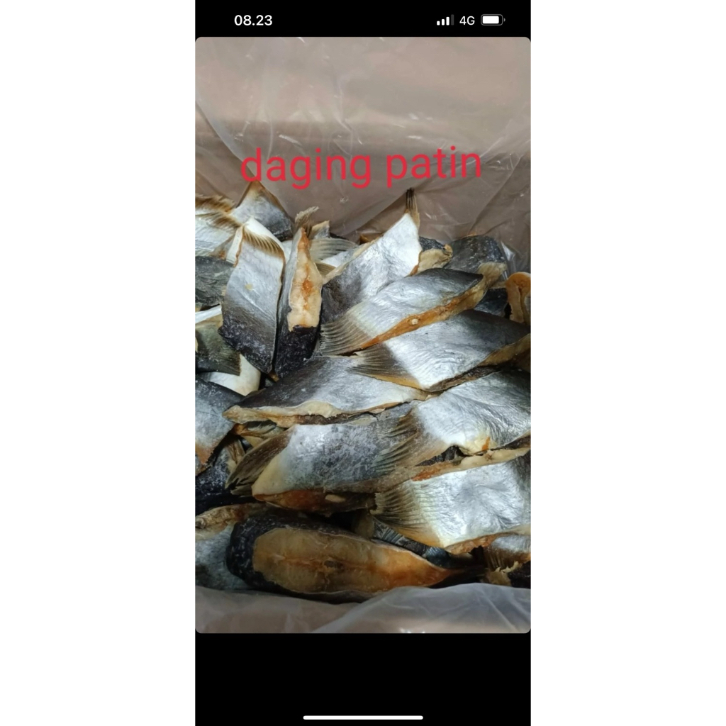 

daging Patin asin