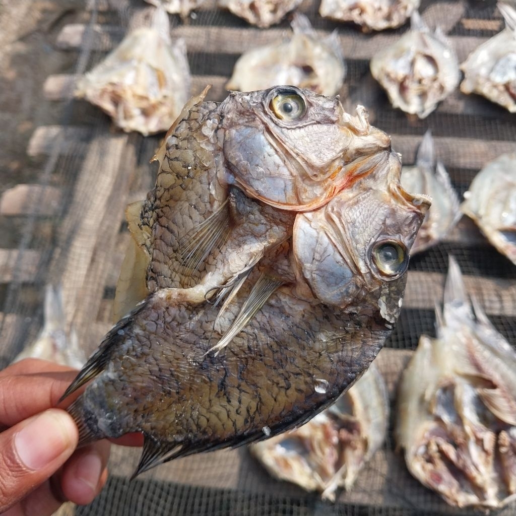 

Ikan Asin Mujaer kering Asli - per-1kg
