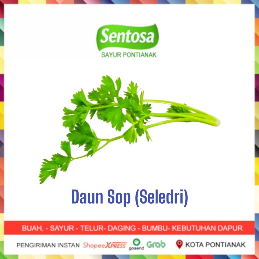 

Daun Sop Seledri 50 gram Sentosa Sayur Pontianak