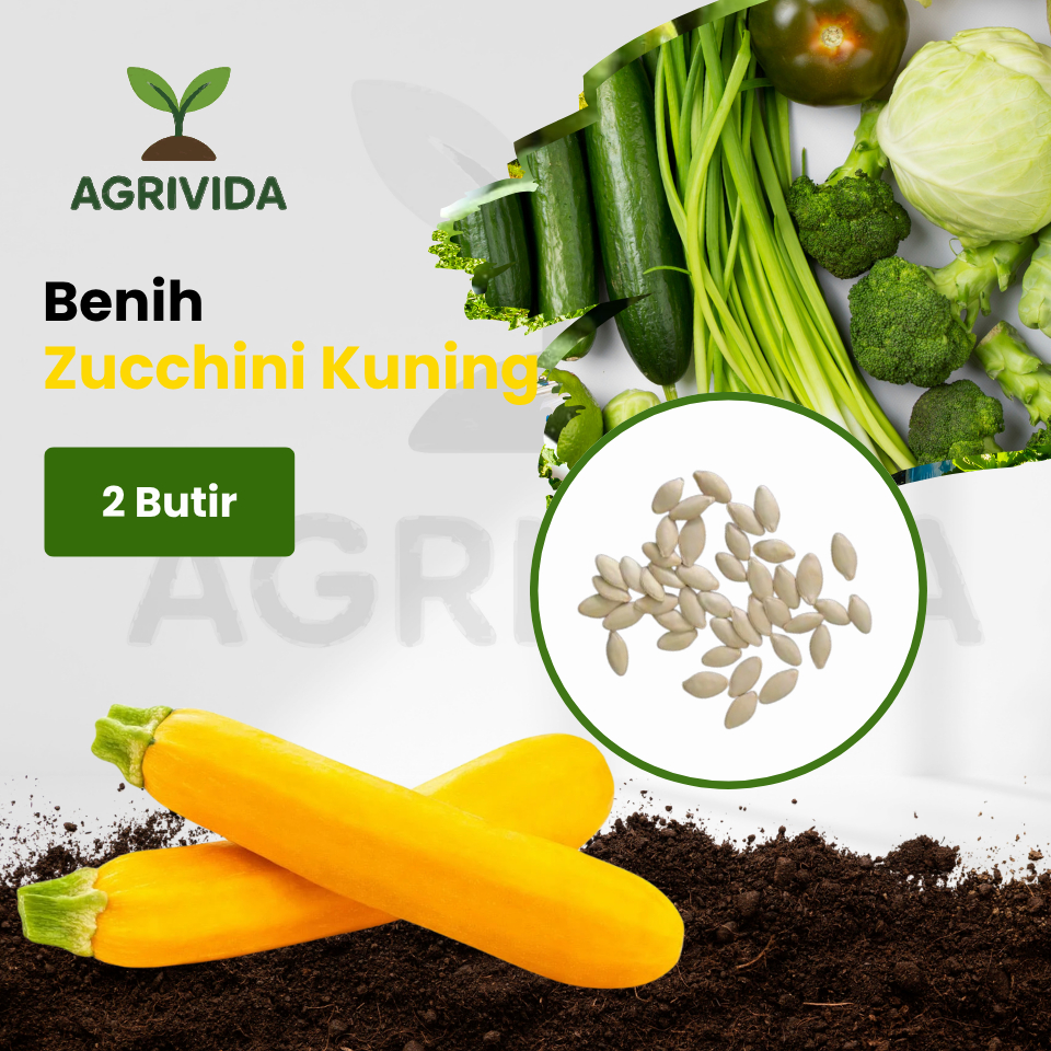 Benih Zucchini Kuning 2 Butir