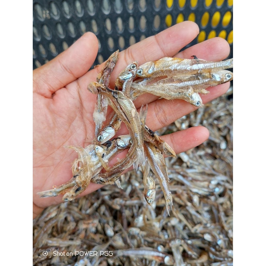 

ikanTeri kadrak tawar/ikan asin/murah