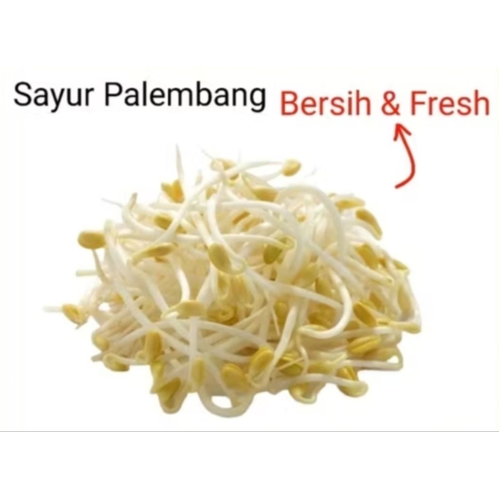 

KECAMBAH - Palembang