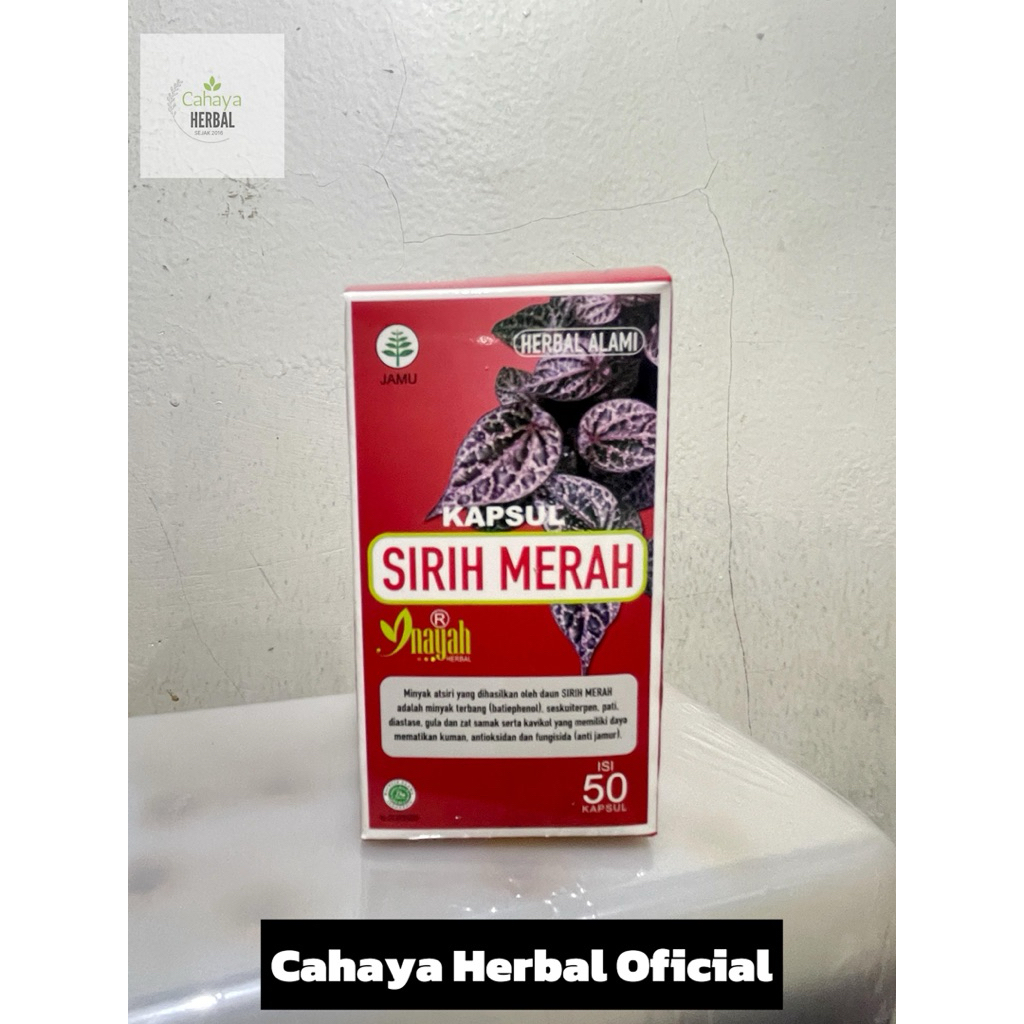 Kapsul Sirih Merah / Daun Sirih Merah 50 kapsul kapsul sirih merah