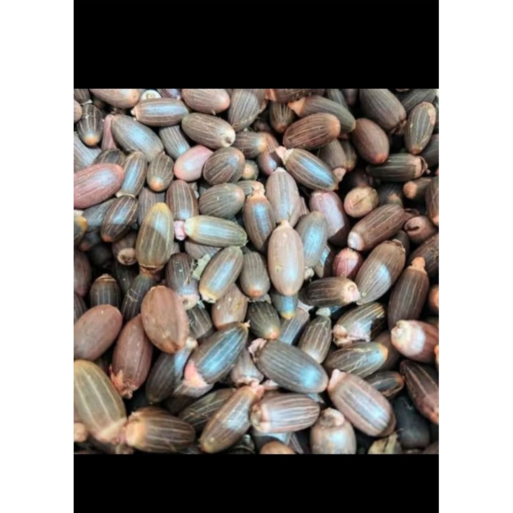 

BIJI MLINJO KUPAS 500 GRAM