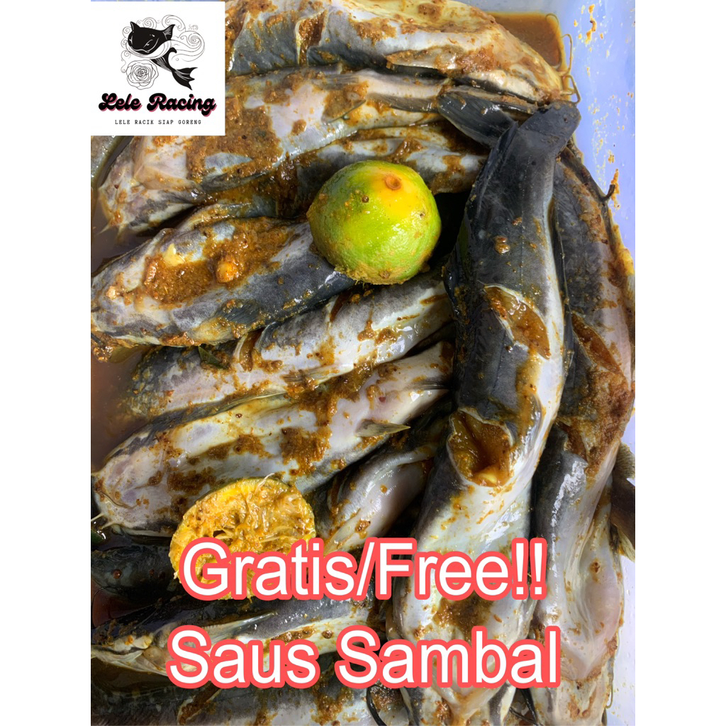 

Lele Marinasi / Ikan Lele Bumbu Kuning / Ikan Lele Frozen / Lele Racik / Lele Siap Goreng