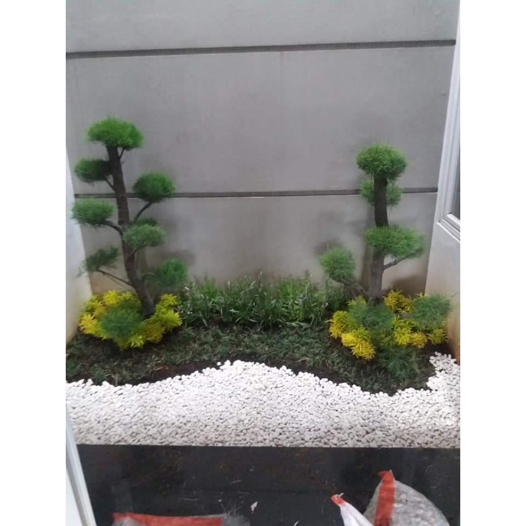 (taman)bonsae/cemara/udang