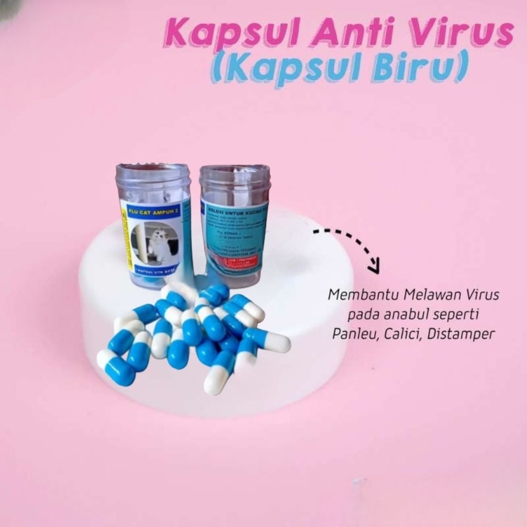 Flu Kucing Ampuh Aaten Flu Care Kucing Flu Virus Bakteri Kucing