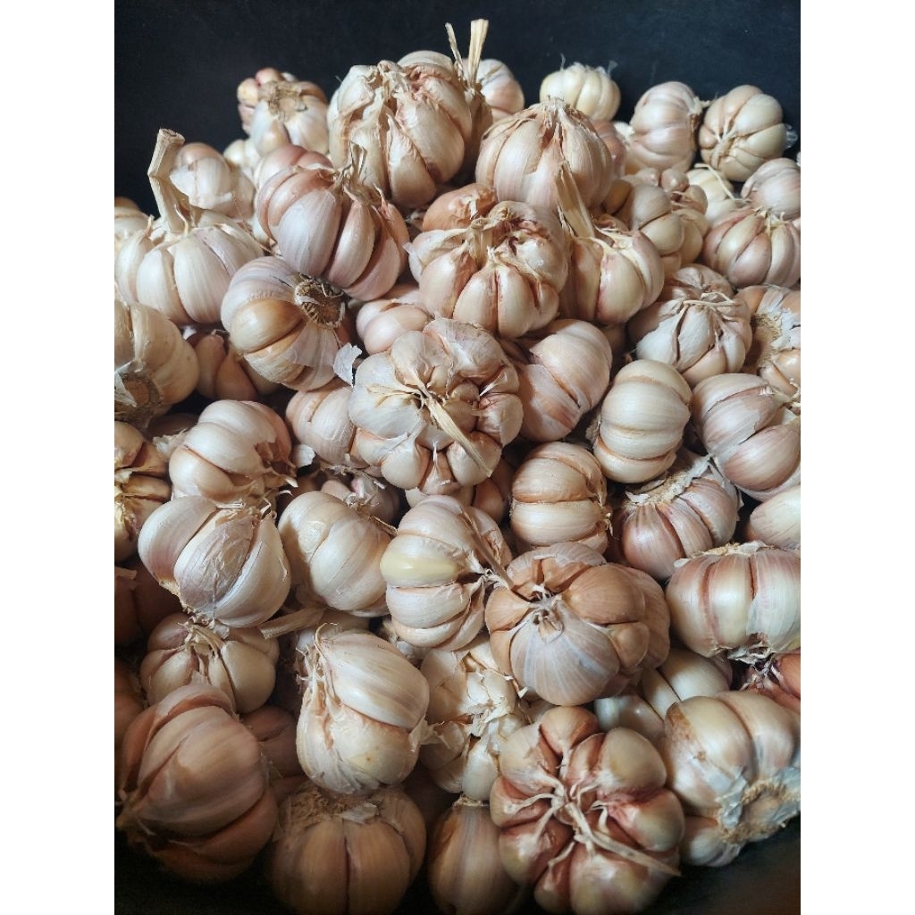 

Bawang Putih 250 gram Bersih Murah Berkualitas, Bawang ¼ kg