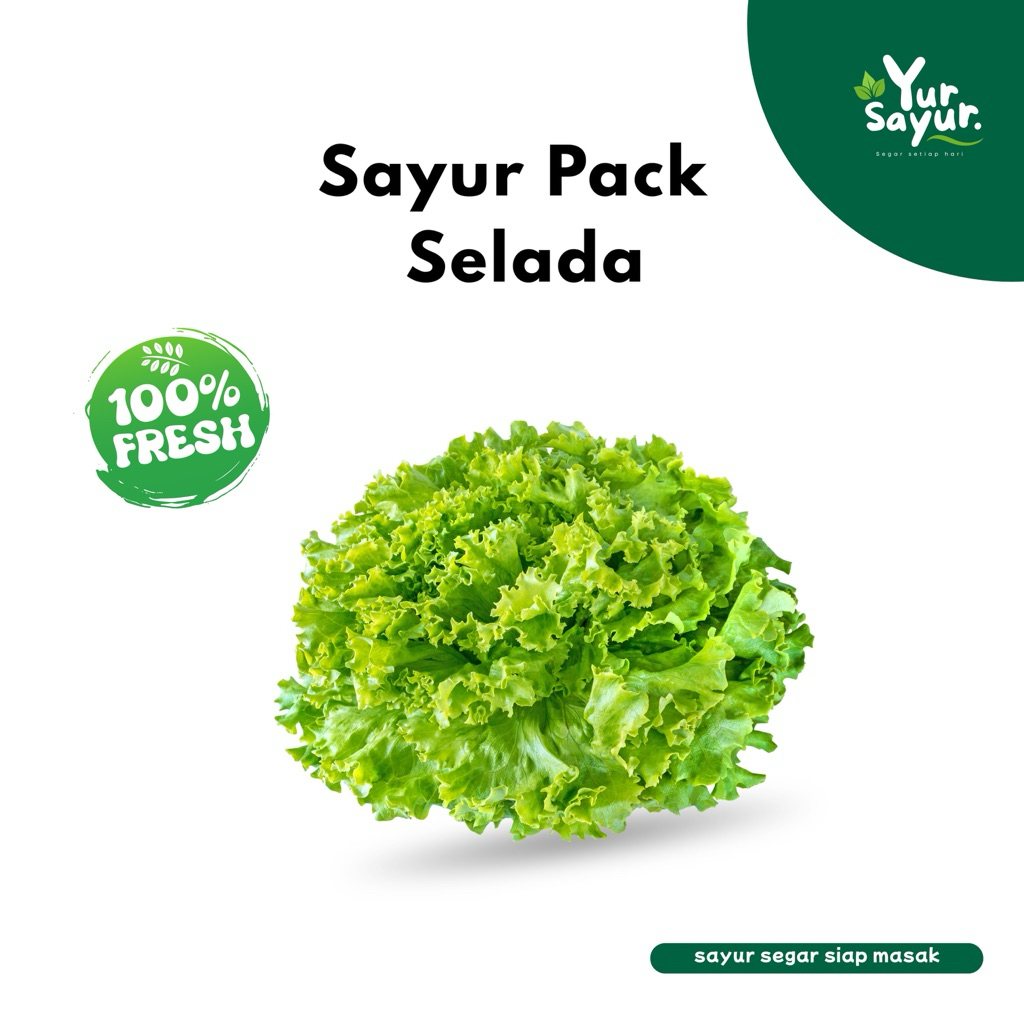 

YUR SAYUR - Selada Fresh Harian Cocok untuk Salad & Lalapan