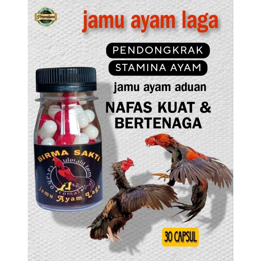 JAMU AYAM ADUAN BIRMA SAKTI NAFAS TERATUR PUKULAN KENCANG ISI 30 KAPSUL EXTRA JP MASTER LAGA JAMU AY