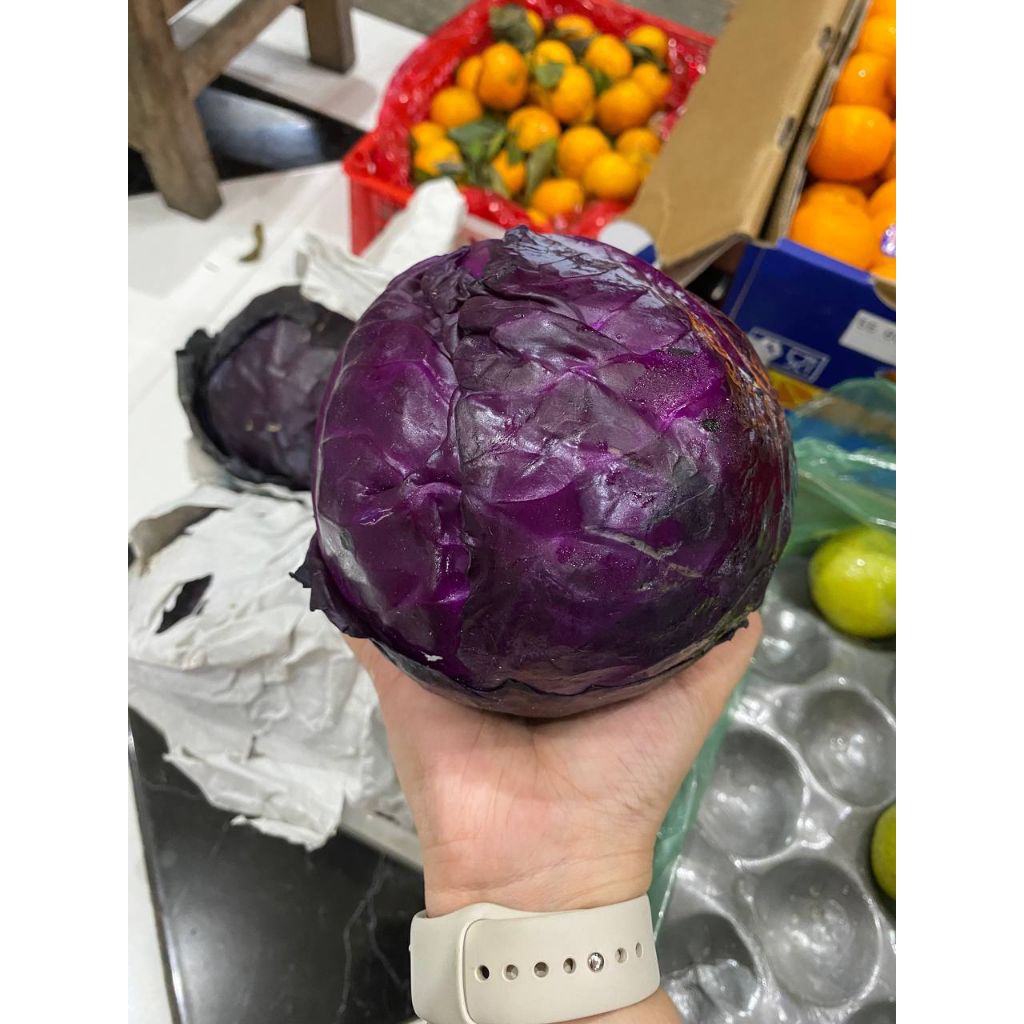 

Kol Ungu Import / Kobis Ungu Import Perkilo