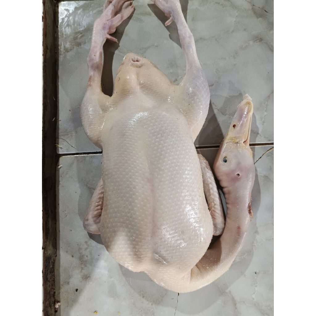 

bebek peking berat 1.9 - 2kg//bebek peking//bebek murah surabaya//bebek gurih