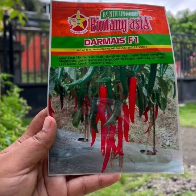 Benih Cabe Besar Darmais f1 10g Bintang Asia