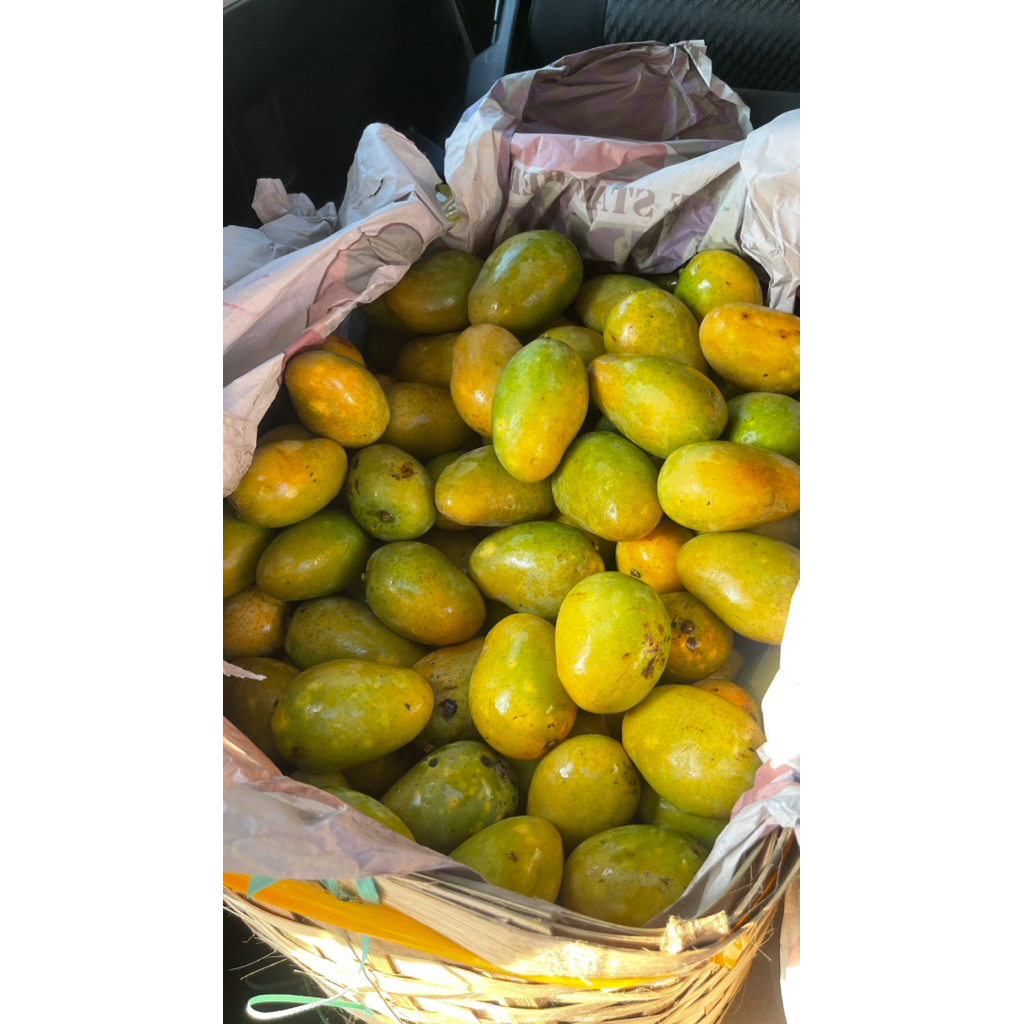 

MANGGA UDANG READY SELALUUUU JAMIN MANIS NUA