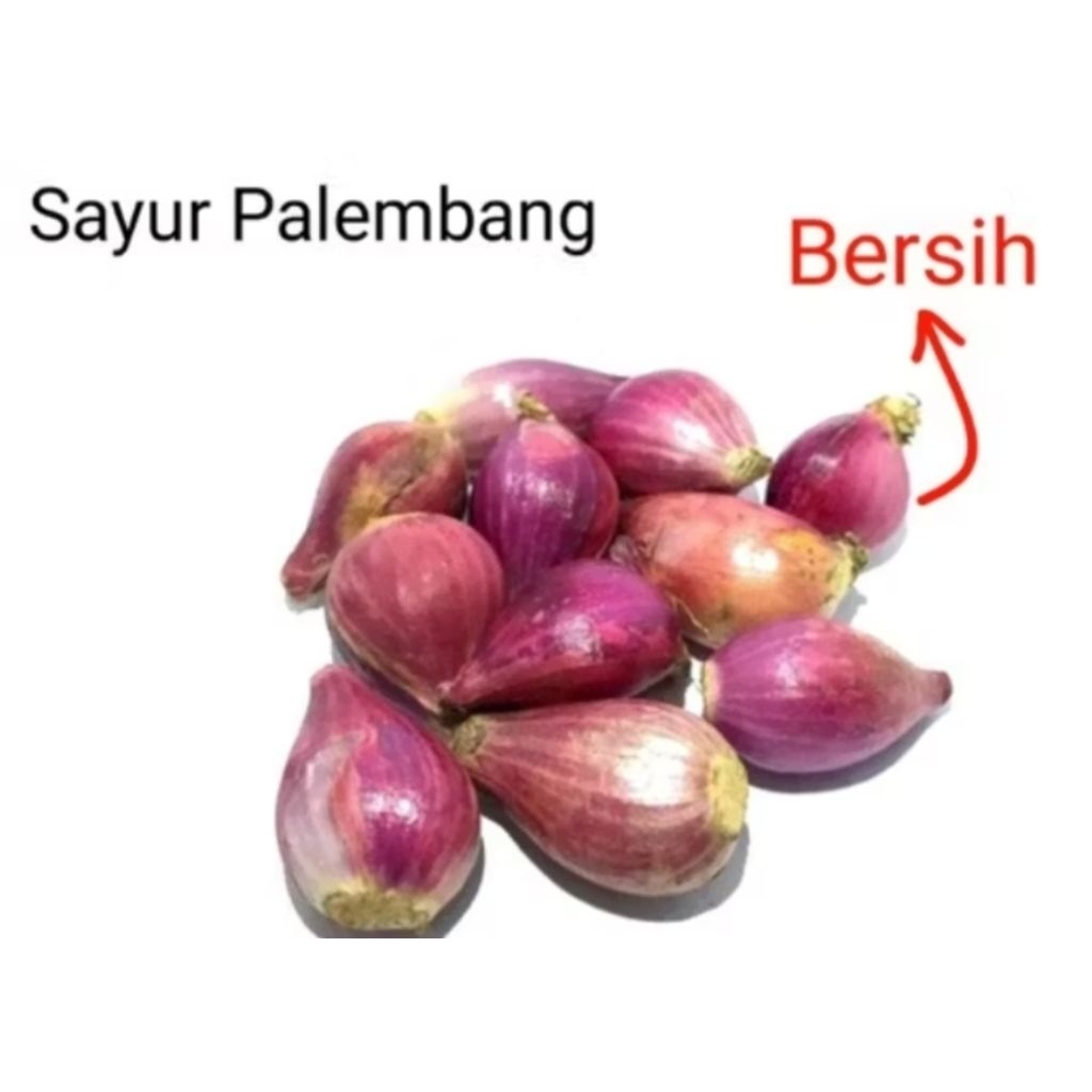 

BAWANG MERAH - Palembang
