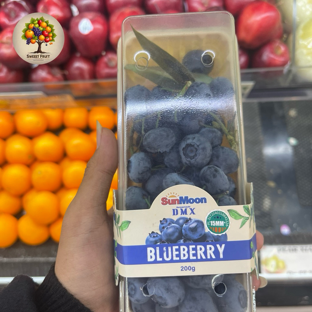 

Blueberry Tangkai DMX | Blueberry Sunmoon Jumbo Fresh 200gram | Pack