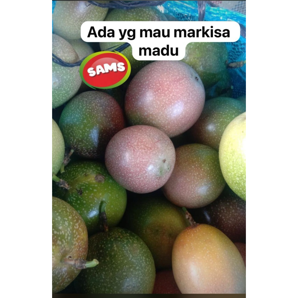 

Markisa madu Sams