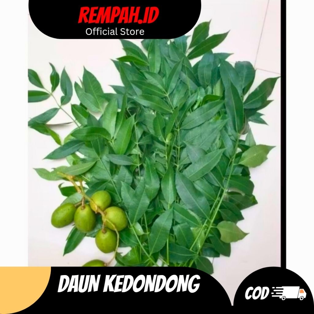 

Daun Kedondong Segar 250 Gram Fresh