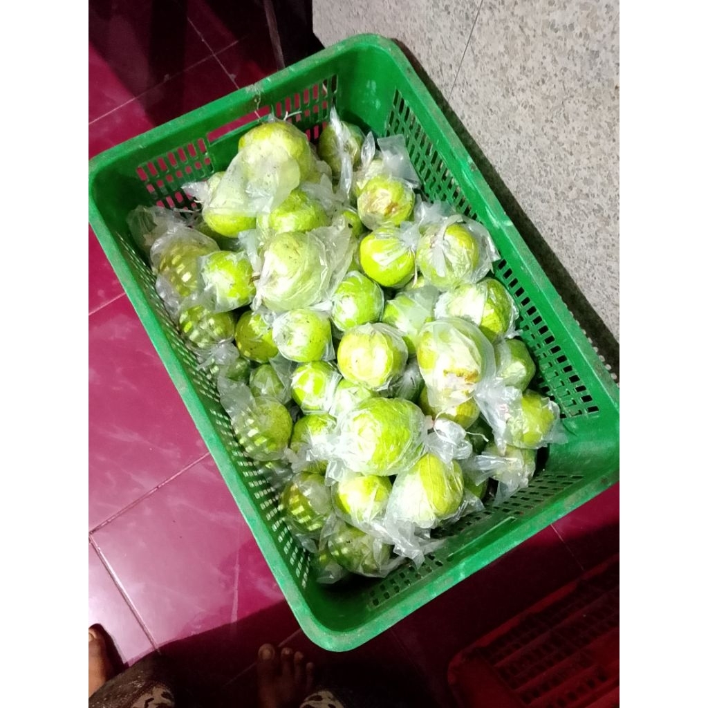 

JAMBU KRISTAL SUPER SEGAR 1 kg