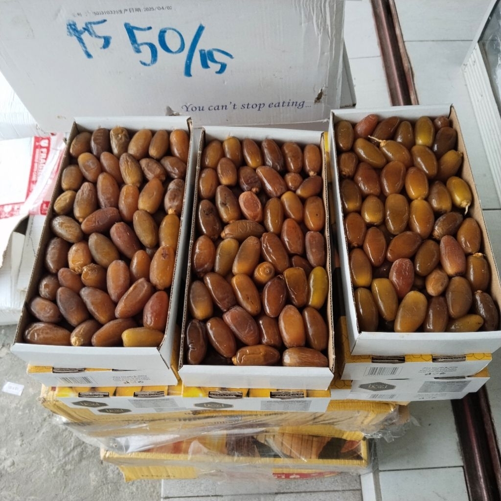 

Kurma Muda/kurma Rotab