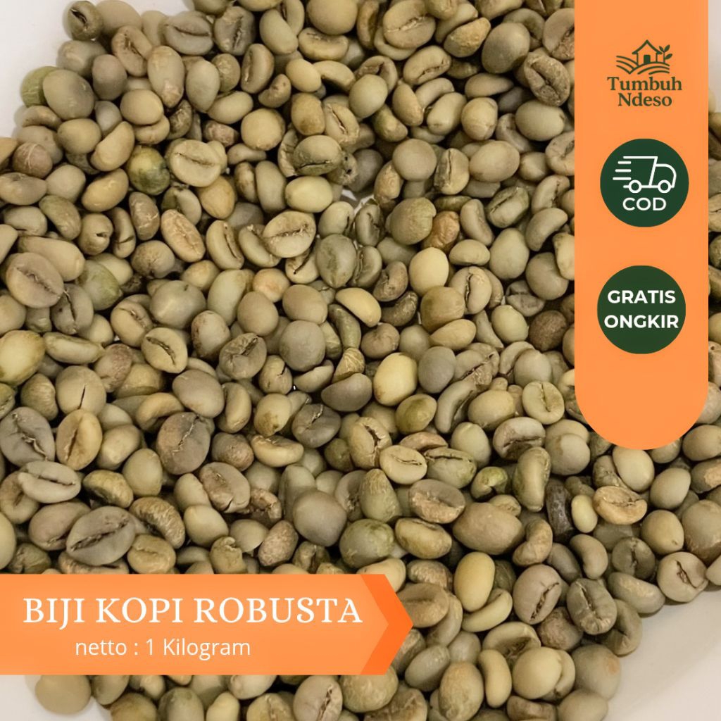 

BIJI KOPI MENTAH ROBUSTA 1KG– GREEN BEAN SIAP SANGRAI/ROASTING | FRESH LANGSUNG DARI PETANI