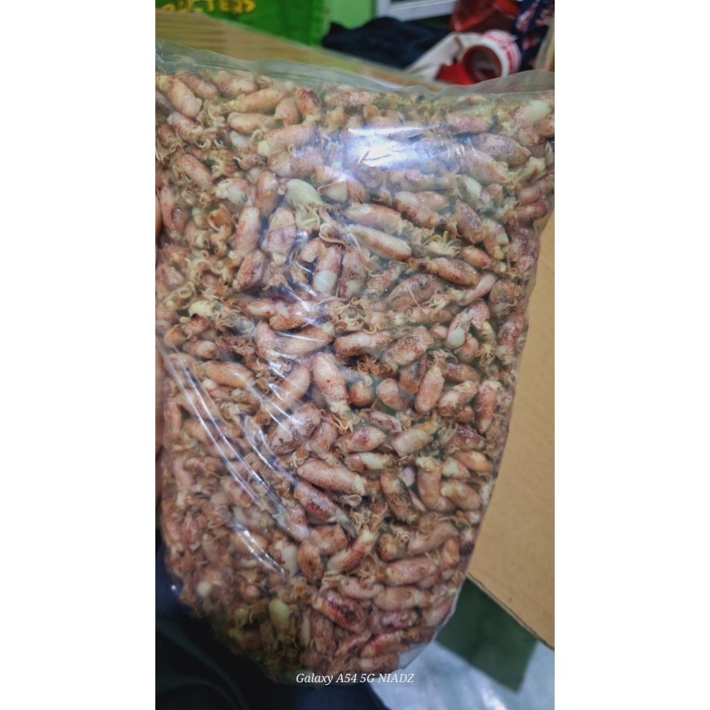 

Baby cumi rebus darat size standar 1 cm dan 2 cm