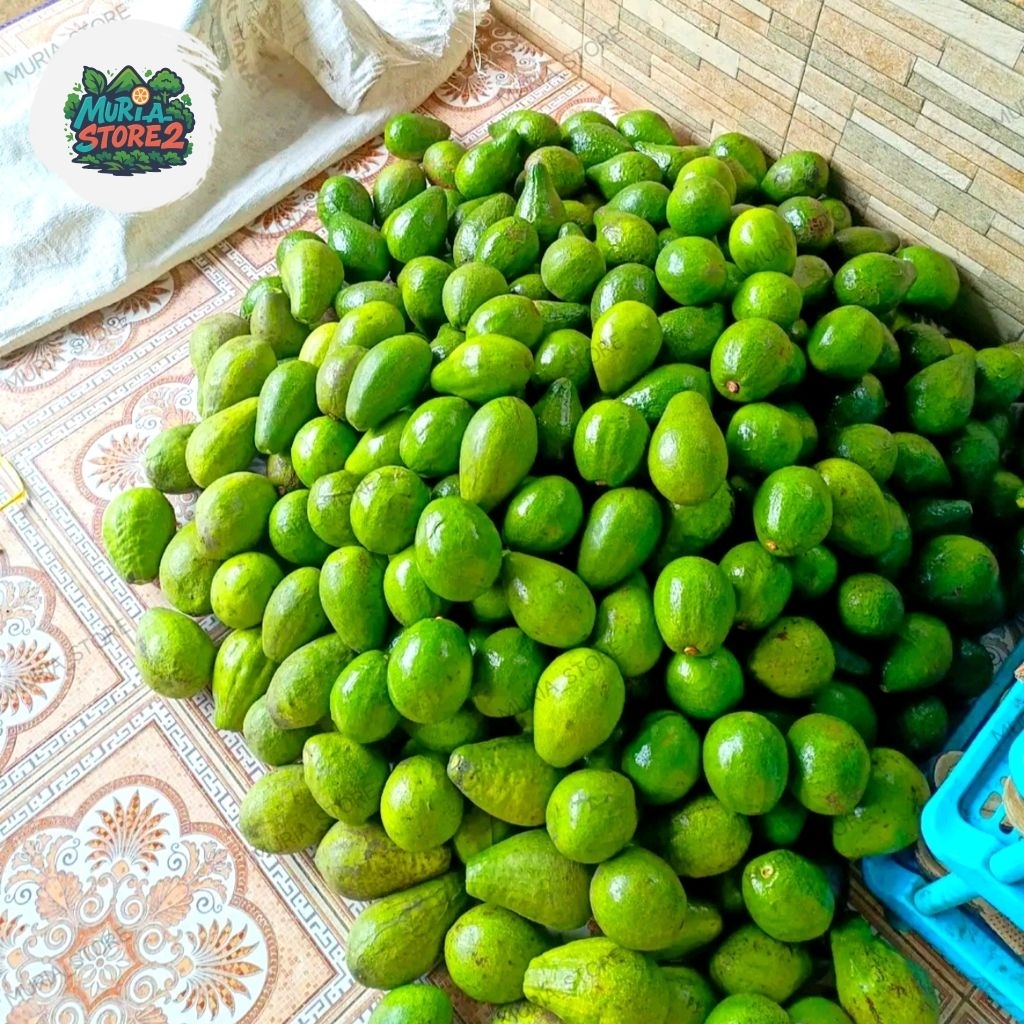 

Alpukat Mentega Asli Muria 1 kg (5 6 7 buah)