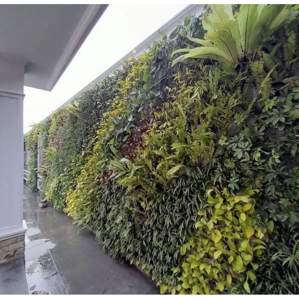 tukang taman vertikal bergaransi - vertical garden