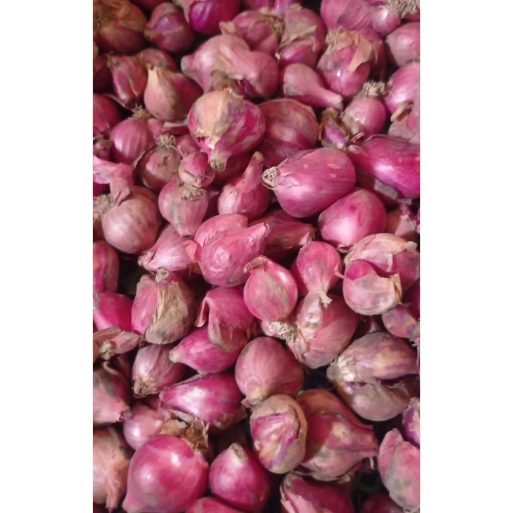 

Bawang Merah per kilo