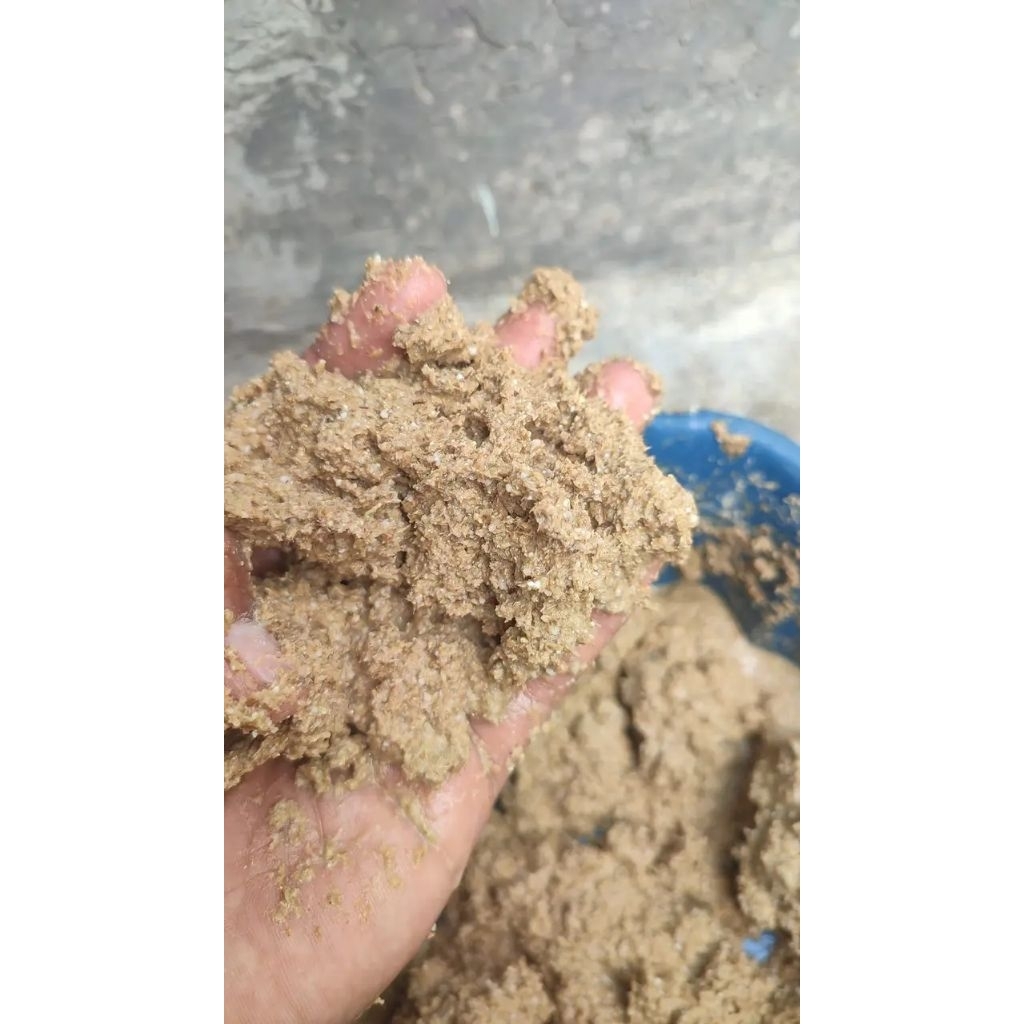 katul/ dedak/bekatul