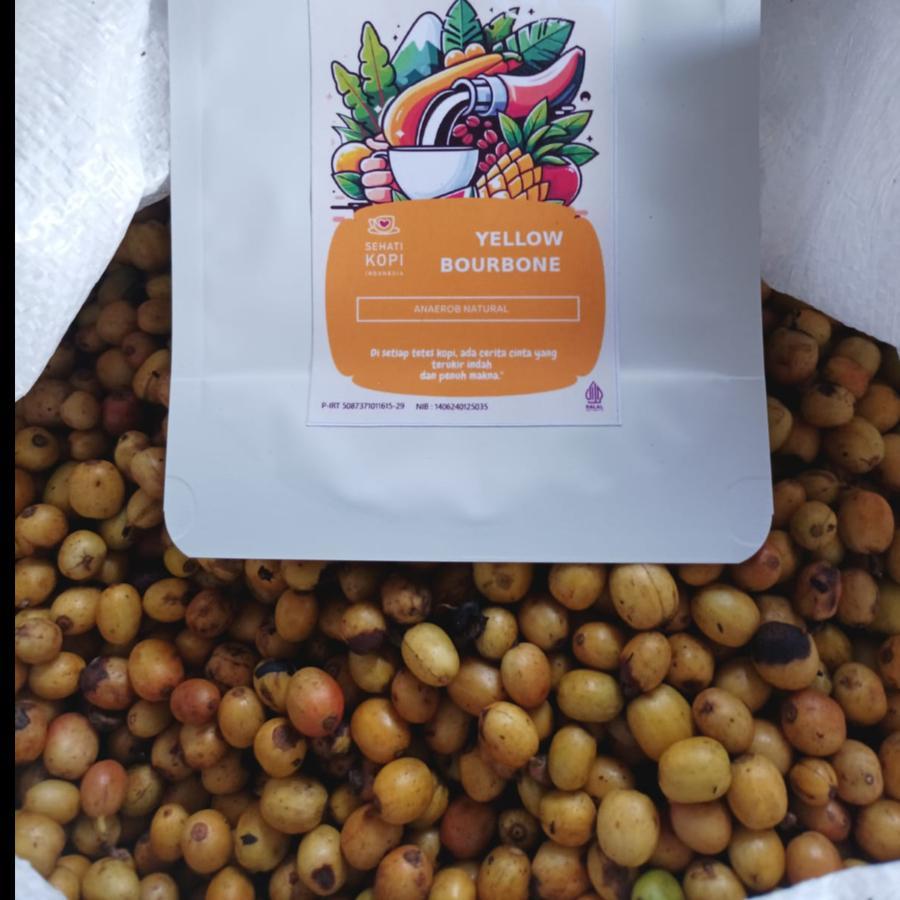 

GREEN BEAN SPECIALTY / ARABIKA YELLOW BOURBON ANAEROB NATURAL - 1 KG