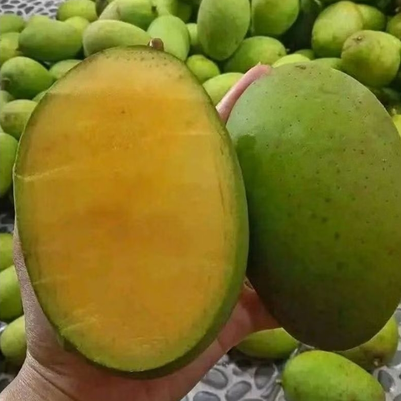 

MANGGA KWENI BEM BEM 1kg