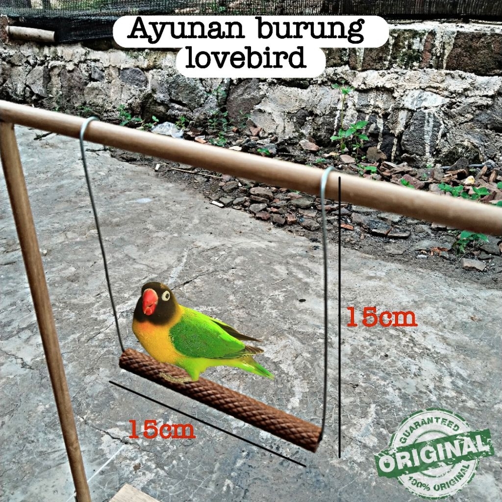 Ayunan mainan burung lovebird