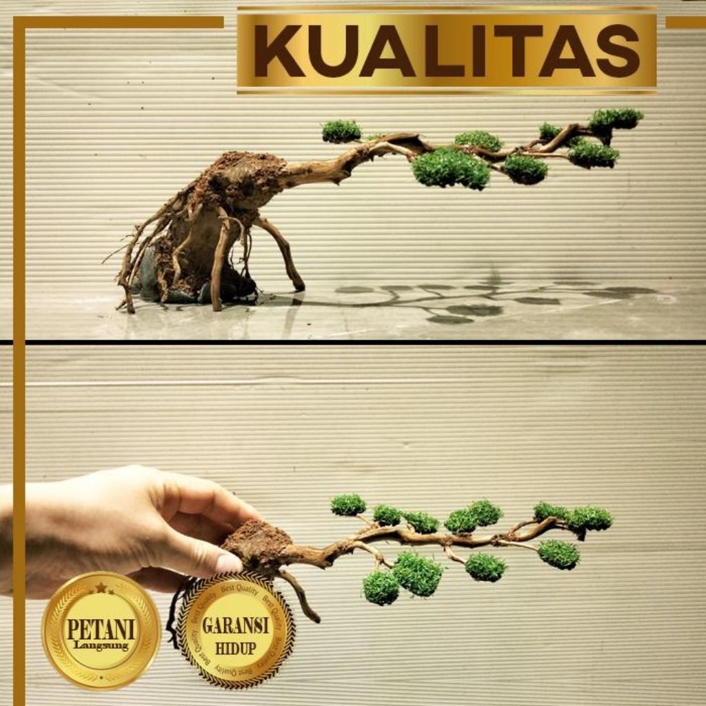 Bonsai Buaya Plastik Tanaman Aquascape Artificial Hiasan Aquarium Ikan Hias Air Tawar / Laut