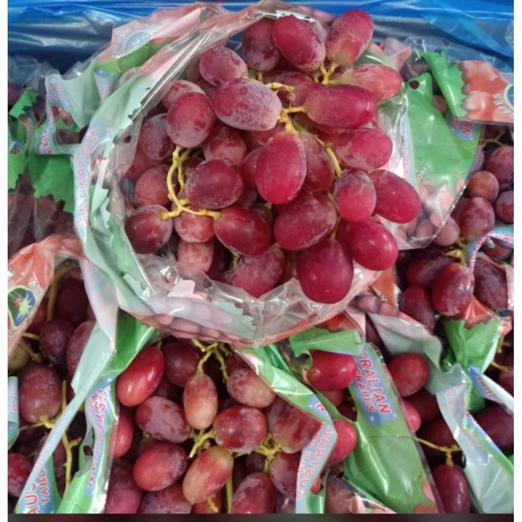 

Anggur Crimson Alison #manisseger