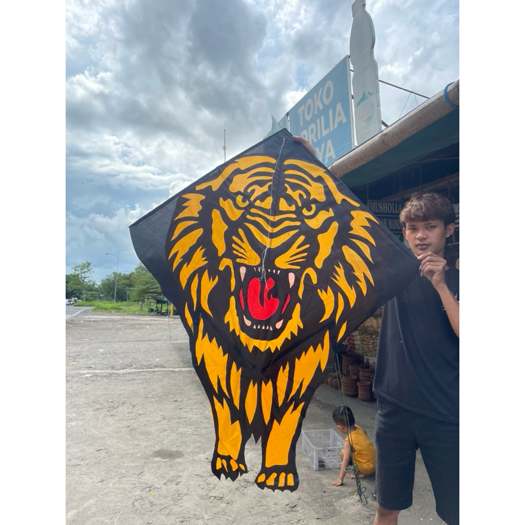 LAYANGAN KAIN KARAKTER (burung hantu , kupu-kupu , macan)