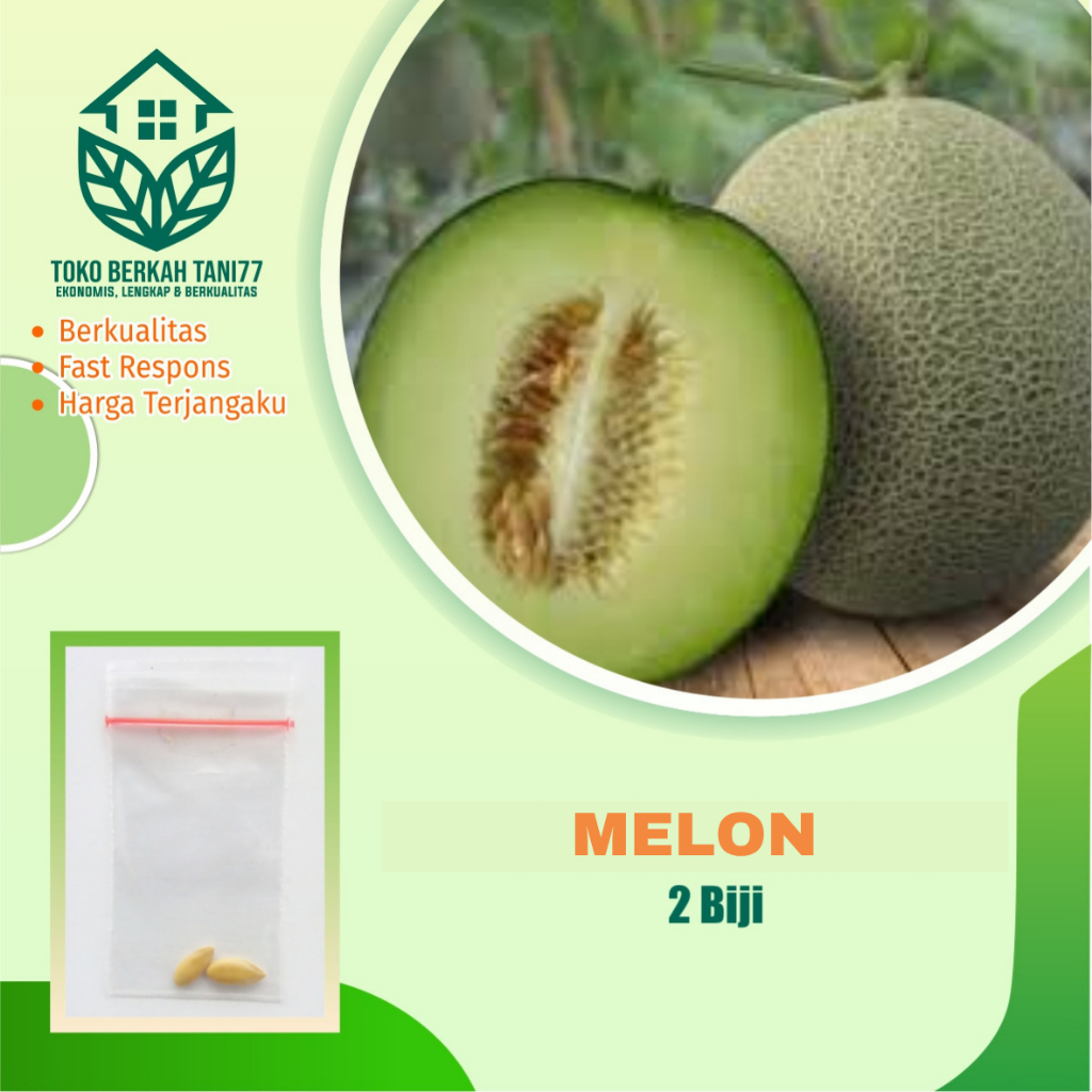 Benih Buah Melon Bibit Buah Melon Benih Buah-buahan Berkualitas