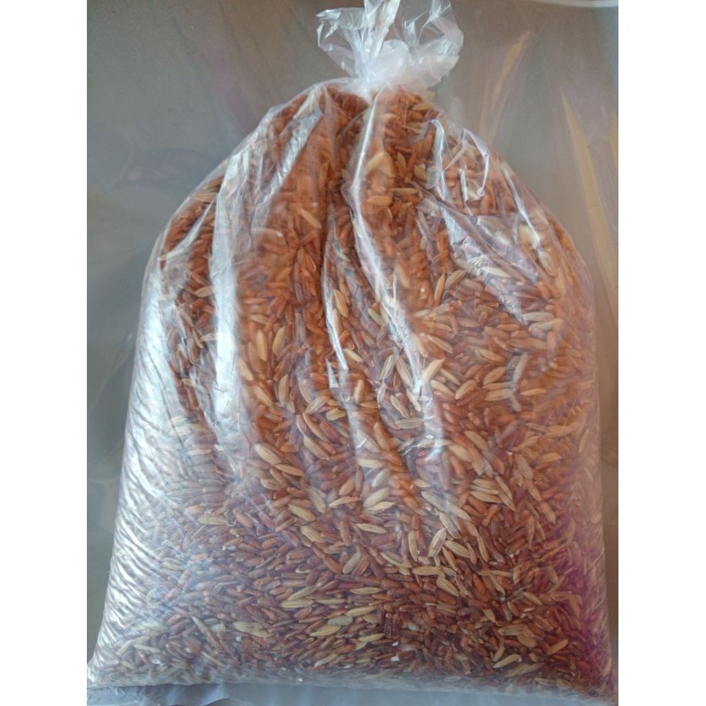 Beras Merah Pakan Burung Ada Gabah 1Kg (Pakan ayam, burung merpati) Beras Merah 1Kg Beras Merah Paka