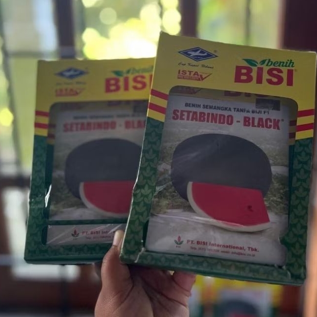 Benih Semangka Non biji Setabindo Black 20g