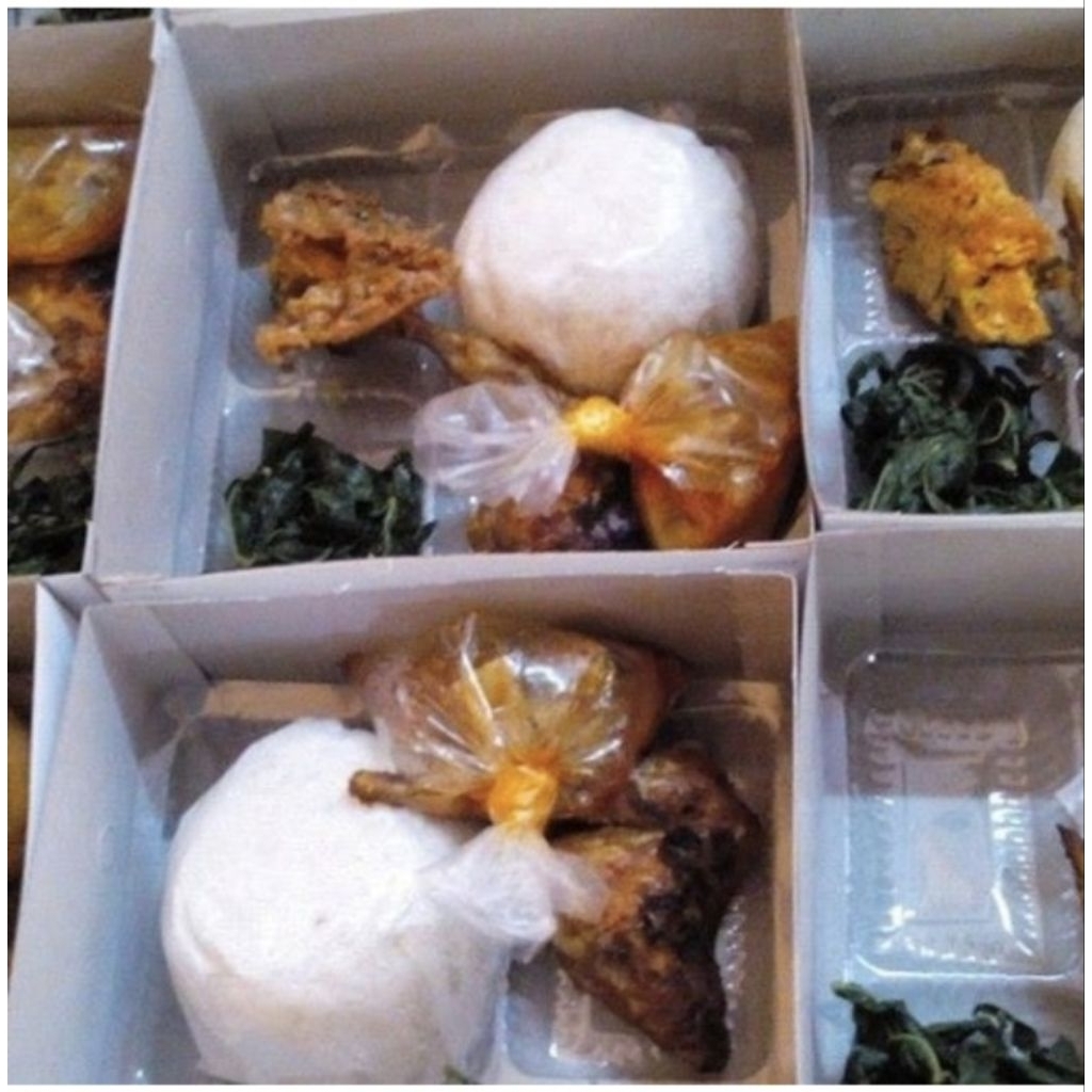 

nasi box/kotak ayam goreng/gulai