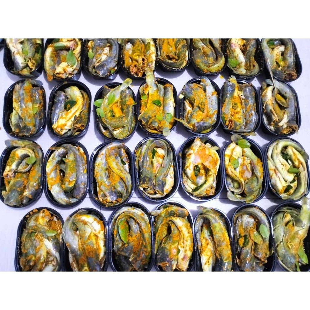 

lele marinasi bumbu kuning