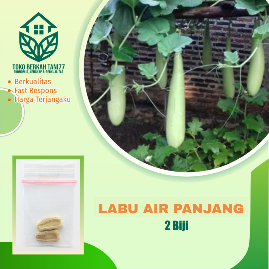 Benih Buah Labu Air Panjang Bibit Buah Labu Air Panjang Benih Buah-buahan Berkualitas