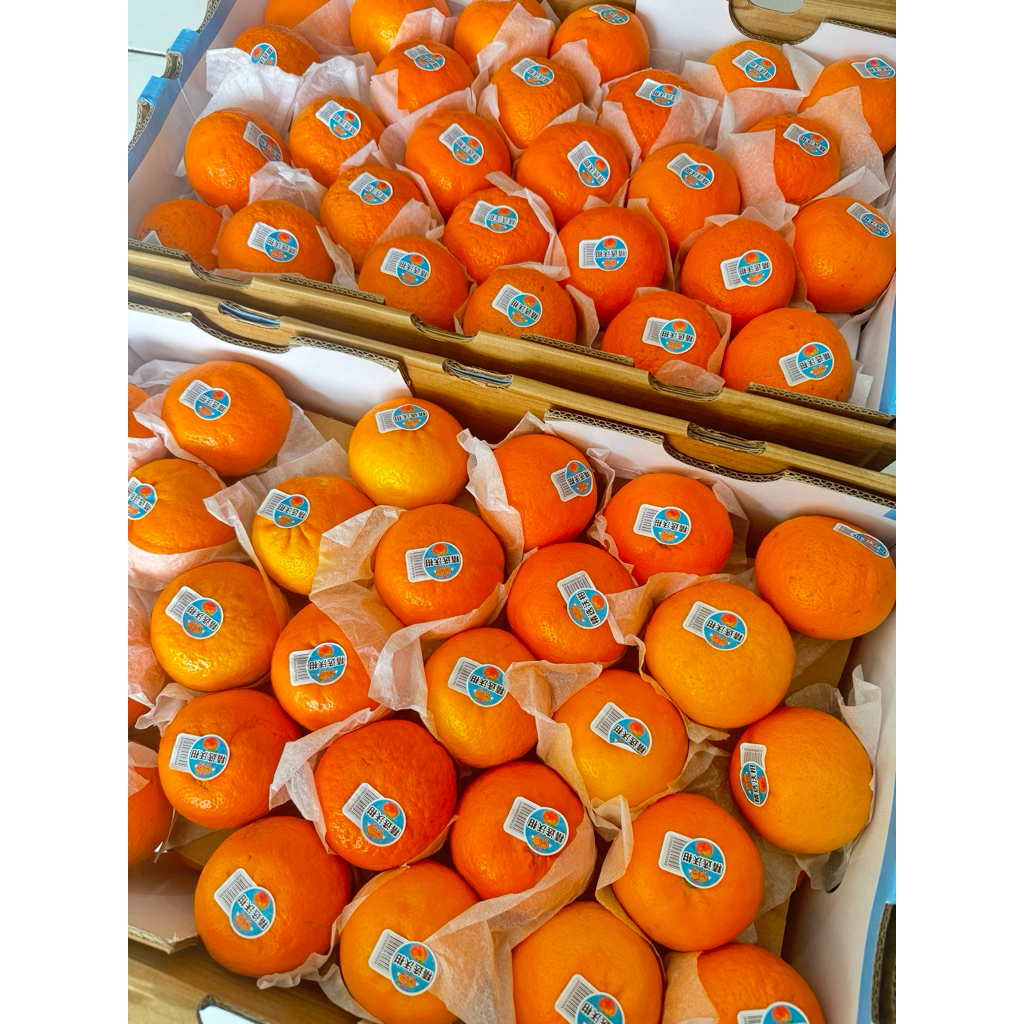 

Jeruk Wokam/Wogan Dus Manis